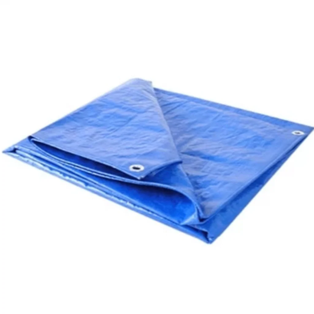 Blue Tarp Ten By Twelve - Image 2