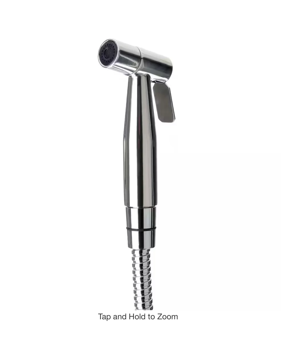 Brondell CleanSpa Non-Electric Luxury Handheld Bidet Attachment in Stainless Steel Damaged Box