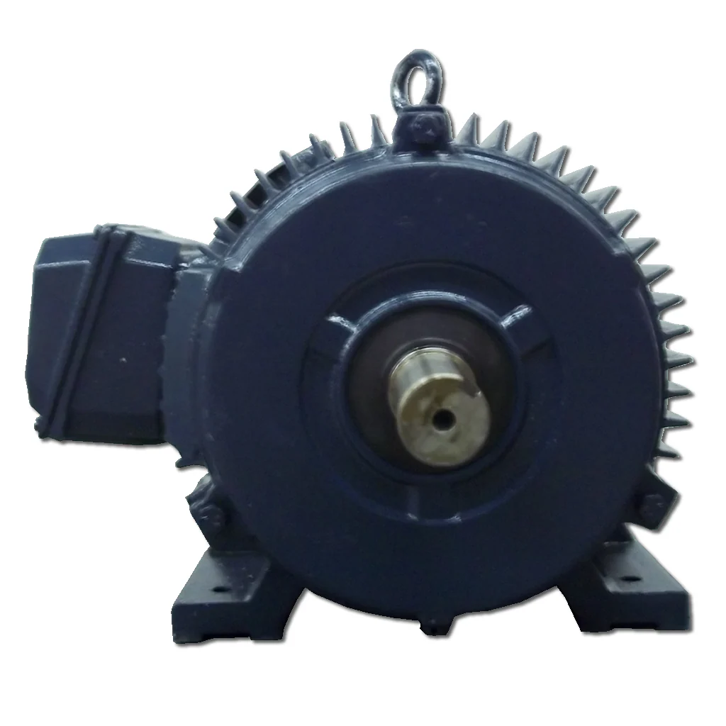 EM10 0 18 30 Motor - Image 2