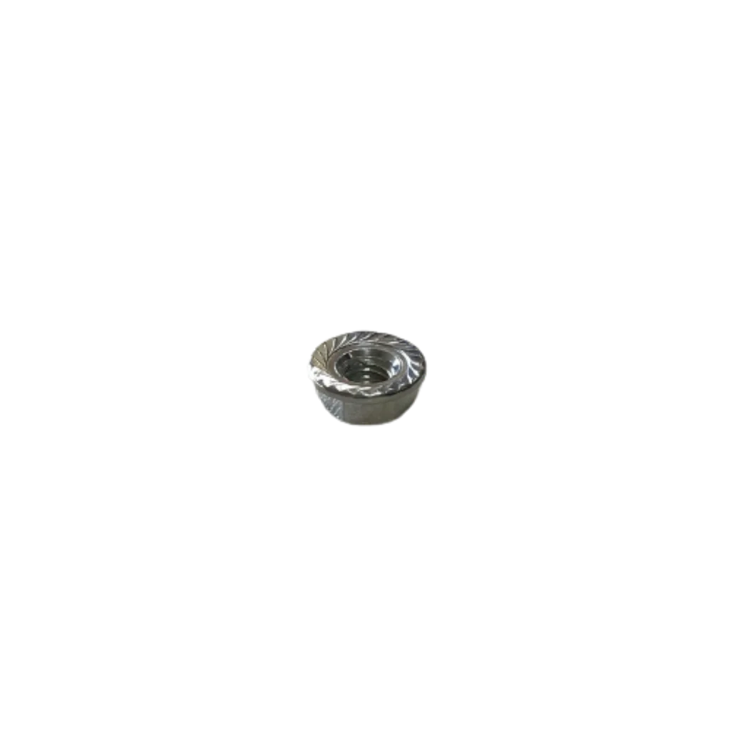 Nut - Image 2