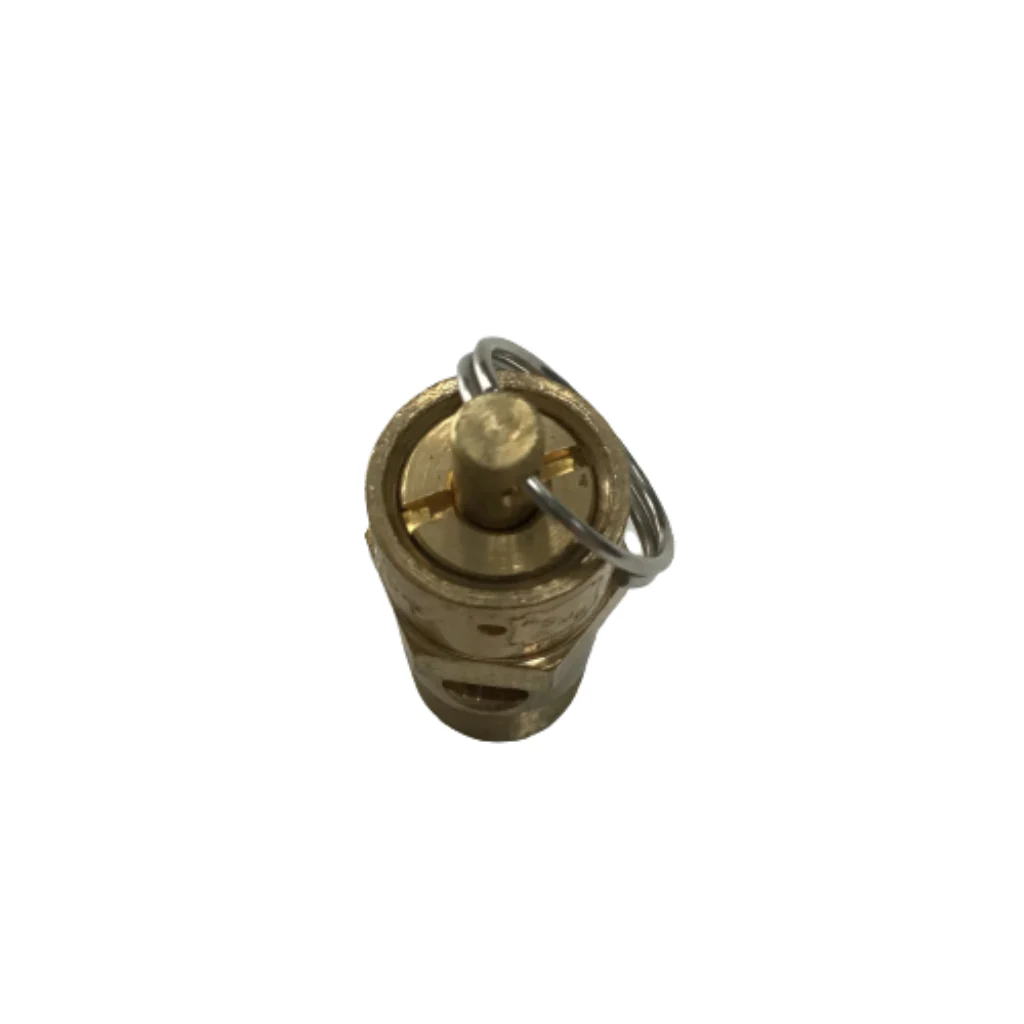 Safety Valve - Image 2